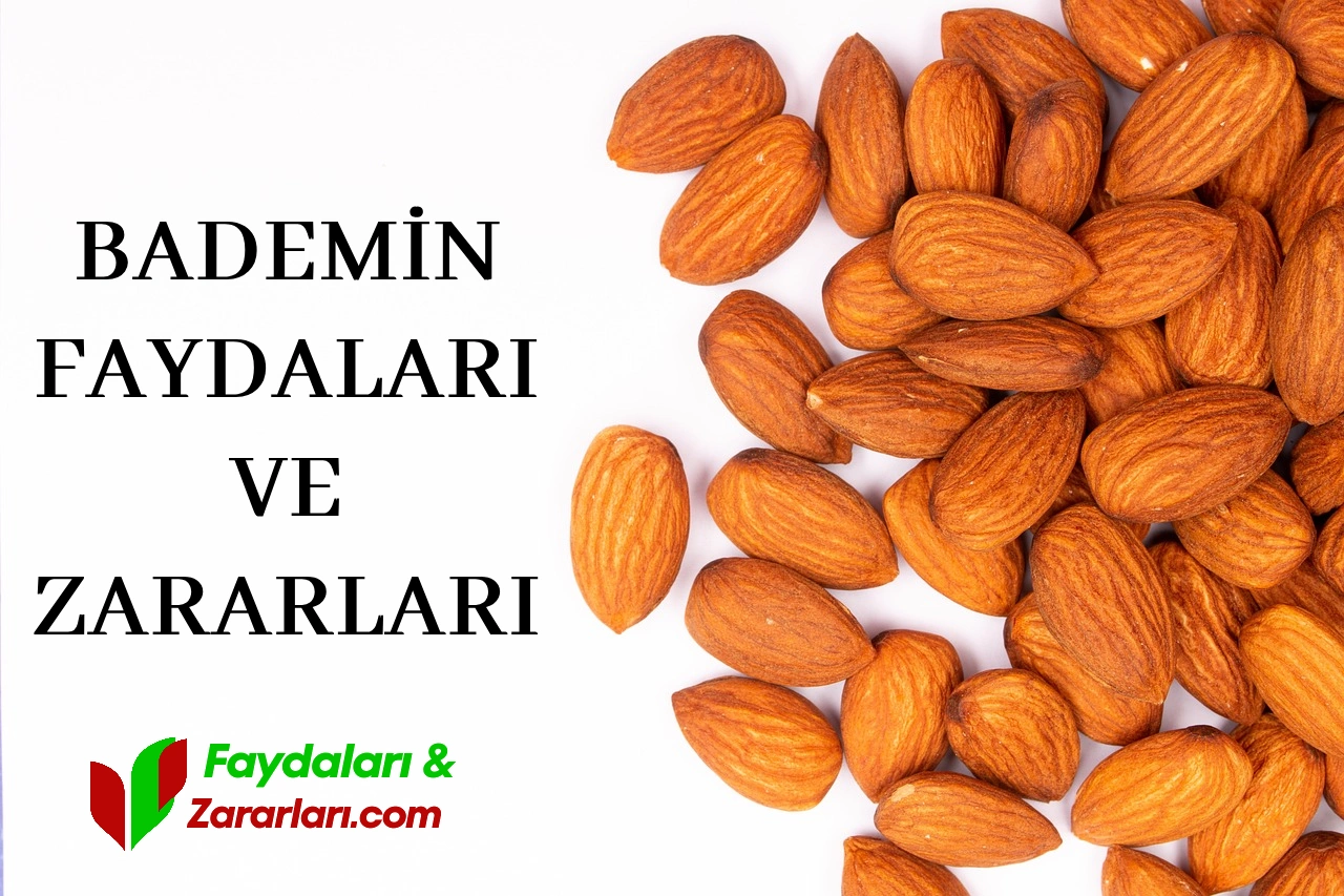 bademin faydaları ve zararları