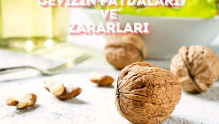 Cevizin Faydaları ve Zararları