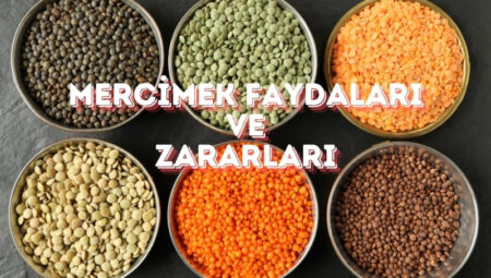 Mercimek Faydaları ve Zararları