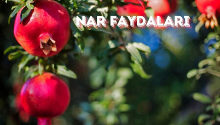 Nar Faydaları