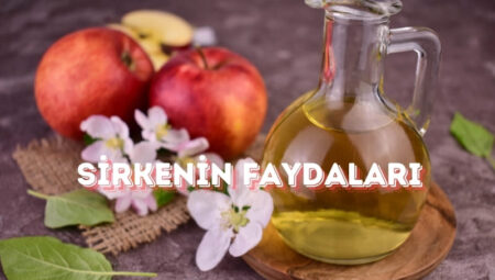 Sirkenin Faydaları