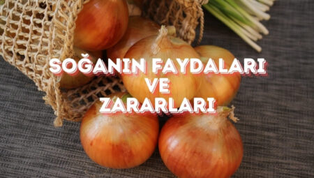 Soğanın Faydaları ve Zararları