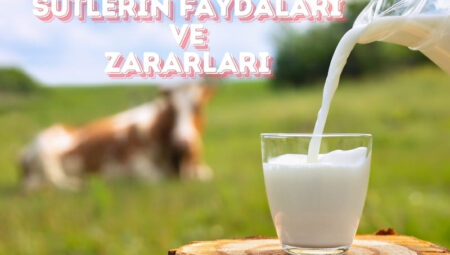 Sütlerin Faydaları ve Zararları