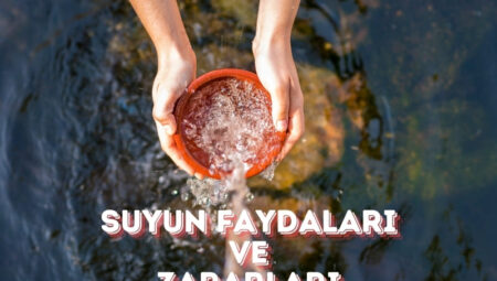 Suların Faydaları ve Zararları