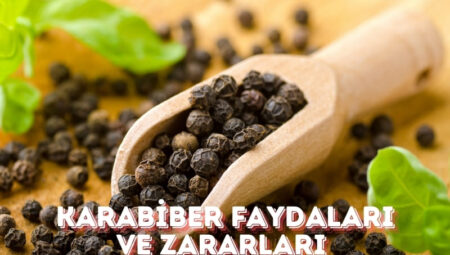 Karabiber Faydaları ve Zararları