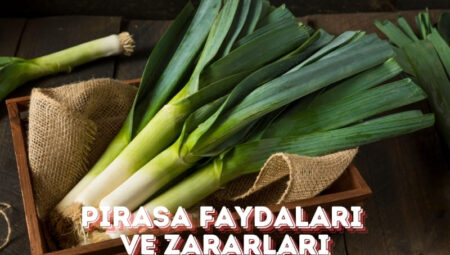 Pırasanın Faydaları ve Zararları