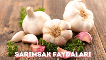 Sarımsak Faydaları