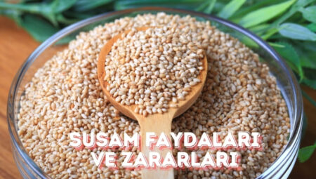 Susam Faydaları ve Zararları