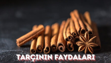 Tarçının Faydaları