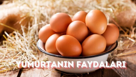 Yumurtanın Faydaları